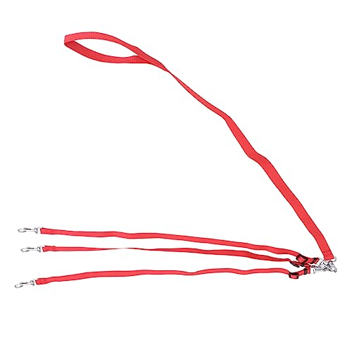 COLLBATH Nylon-Hundeleine zum Spazierengehen 3-Kopf-Trainingsleine Sicherheitsfunktionen für bis mittelgroße Hunde COLLBATH Nylon-Hundeleine zum Spazierengehen 3-Kopf-Trainingsleine Sicherheitsfunktionen für bis mittelgroße Hunde von COLLBATH