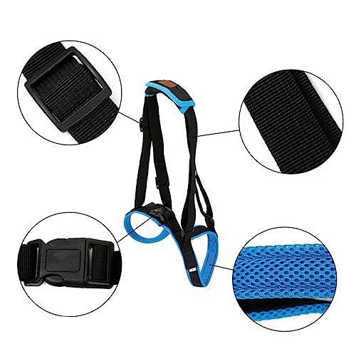 COLLBATH Hundestützgeschirr Für Ältere Hunde XL Blauer Pet Support Belt Für Verletzte Hinterbeine Atmungsaktives Material Geeignet Für Treppen Und Rehabilitation von COLLBATH