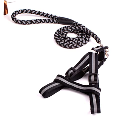 COLLBATH Verstellbares Hundegeschirr Für Kleine Und Große Hunde Mit Reflektierender Laufleine Schwarz Ideal Für Und Im Dunkeln COLLBATH Verstellbares Hundegeschirr Für Kleine Und Große Hunde Mit Reflektierender Laufleine Schwarz Ideal Für Und Im Dunkeln von COLLBATH