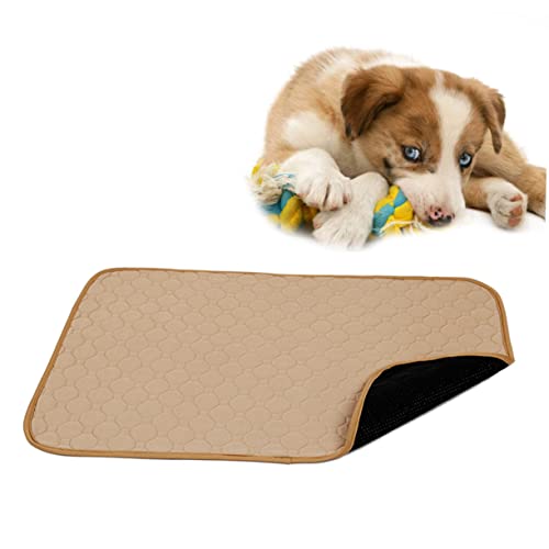 COLLBATH Waschbare Haustier-unterlage Für Hunde Und Katzen Trainingsunterlage Wiederverwendbare Anti-rutsch-pad – Größe S von COLLBATH