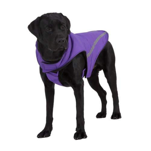 COLLBATH Reflektierender Dreieckmantel Mit Zwei Balken Für Hunde Haustier-sportbekleidung Hundemode Für Outdoor-aktivitäten COLLBATH Reflektierender Dreieckmantel Mit Zwei Balken Für Hunde Haustier-sportbekleidung Hundemode Für Outdoor-aktivitäten von COLLBATH