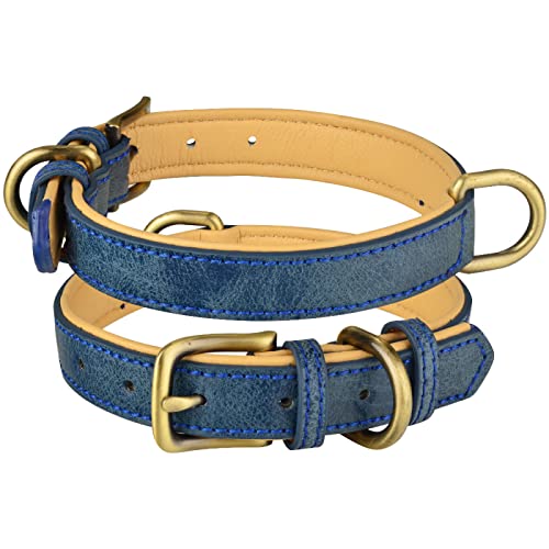 Hundehalsband aus Leder, Verstellbarer Doppel-D-Ring, Hundekontrolle, kleine, mittelgroße, große Hunde,Blau,XS 22–28 cm von COLORFULMALL