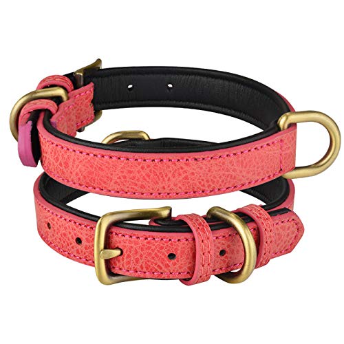 Hundehalsband aus Leder, Verstellbarer Doppel-D-Ring, Hundekontrolle, kleine, mittelgroße, große Hunde,rot,XS 22–28 cm von COLORFULMALL