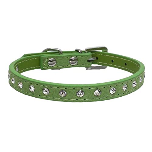 Katzenhalsbänder Kätzchen Halskette Zubehör Produkte für Haustier kleine Hundehalsband Welpen,Grün,S von COLORFULMALL