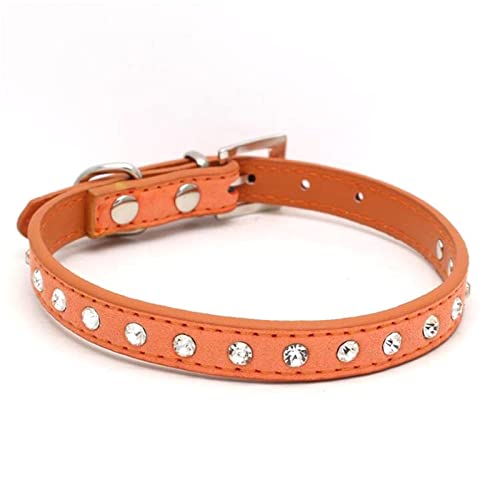 Katzenhalsbänder Kätzchen Halskette Zubehör Produkte für Haustier kleine Hundehalsband Welpen,Orange,XXS von COLORFULMALL
