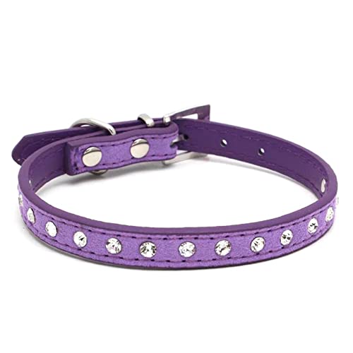Katzenhalsbänder Kätzchen Halskette Zubehör Produkte für Haustier kleine Hundehalsband Welpen,Violett,S von COLORFULMALL