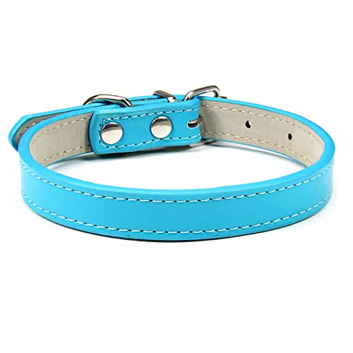 Weiches Leder, solides Hundehalsband, Verstellbarer Welpen-Nackenriemen, sichere Halsbänder für kleine, mittelgroße, große Hunde, Kätzchen, Halsketten, Katzenzubehör,See-Blauhalsband,L Weiches Leder, solides Hundehalsband, Verstellbarer Welpen-Nackenriemen, sichere Halsbänder für kleine, mittelgroße, große Hunde, Kätzchen, Halsketten, Katzenzubehör,See-Blauhalsband,L von COLORFULMALL