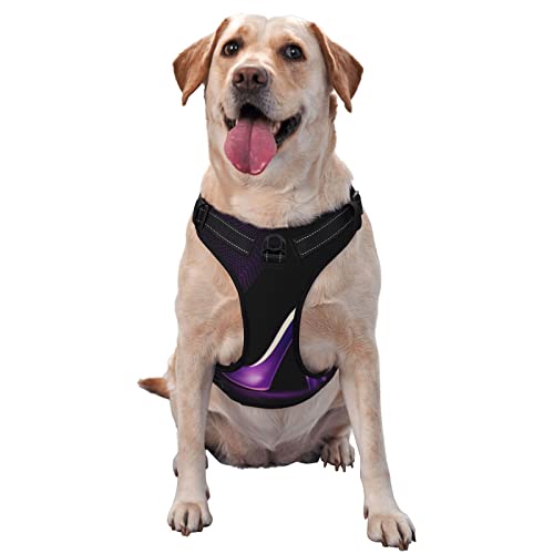 Elegante lila High Heels Haustier-Traktionsweste, Brustgurt, Geschirr, Outdoor, Spaziergang mit dem Hund Elegante lila High Heels Haustier-Traktionsweste, Brustgurt, Geschirr, Outdoor, Spaziergang mit dem Hund von COMAAM