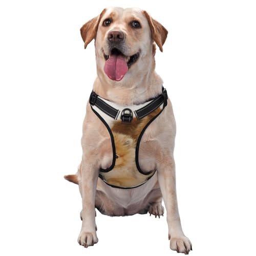 Niedliche Pommersche Haustier-Traktionsweste, Brustgurt, Geschirr, Outdoor, Spaziergang mit dem Hund Niedliche Pommersche Haustier-Traktionsweste, Brustgurt, Geschirr, Outdoor, Spaziergang mit dem Hund von COMAAM