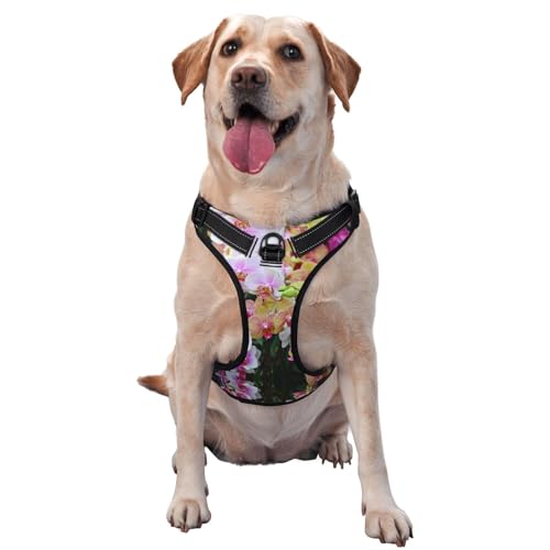Orchideen Haustier-Traktionsweste, Brustgurt, Geschirr, Outdoor, Spaziergang mit dem Hund Orchideen Haustier-Traktionsweste, Brustgurt, Geschirr, Outdoor, Spaziergang mit dem Hund von COMAAM