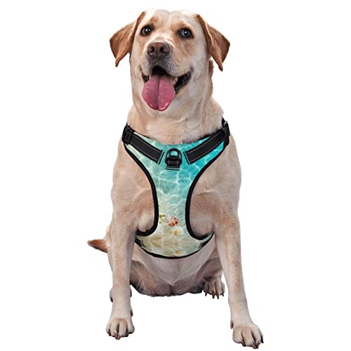 Traktionsweste mit Seestern am Strand, für Haustiere, Brustgurt, Geschirr, Outdoor, Spaziergänge mit dem Hund Traktionsweste mit Seestern am Strand, für Haustiere, Brustgurt, Geschirr, Outdoor, Spaziergänge mit dem Hund von COMAAM
