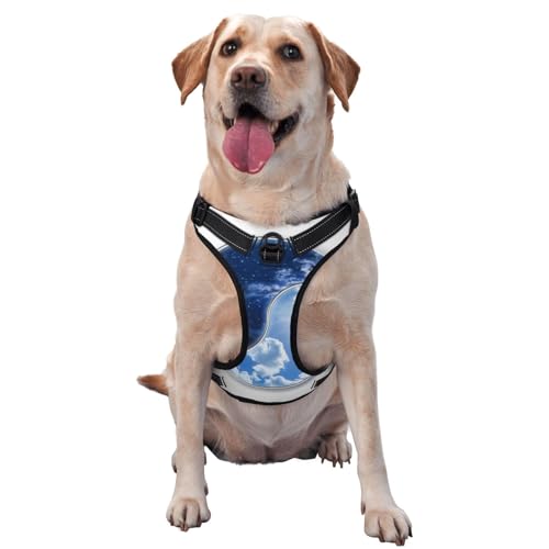 Yin Yang Sky Haustier-Traktionsweste, Brustgurt, Geschirr, Outdoor, Spaziergang mit dem Hund Yin Yang Sky Haustier-Traktionsweste, Brustgurt, Geschirr, Outdoor, Spaziergang mit dem Hund von COMAAM
