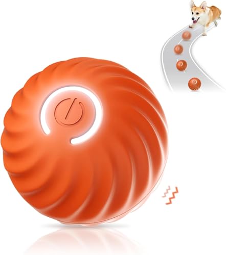 Bälle Spielzeug für Welpen, interaktives Hundespielzeug Ball, automatisches Rollspielzeug für Katze, USB wiederaufladbar, aktiviert, automatische Bewegung, Hundebälle Spielzeug mit LED-Blitz Bälle Spielzeug für Welpen, interaktives Hundespielzeug Ball, automatisches Rollspielzeug für Katze, USB wiederaufladbar, aktiviert, automatische Bewegung, Hundebälle Spielzeug mit LED-Blitz von COMBLU