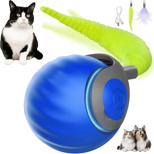Interaktives Spielzeug für Katzen, interaktives Spielzeug für Katzen im Innenbereich mit flauschigem Schwanz, automatischer Rollball für Katzen und Hunde, kompatibel mit Böden und Teppichböden, Blau Interaktives Spielzeug für Katzen, interaktives Spielzeug für Katzen im Innenbereich mit flauschigem Schwanz, automatischer Rollball für Katzen und Hunde, kompatibel mit Böden und Teppichböden, Blau von COMBLU