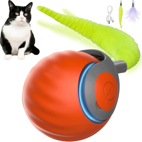 Interaktives Spielzeug für Katzen, interaktives Spielzeug für Katzen im Innenbereich mit flauschigem Schwanz, automatischer Rollball für Katzen und Hunde, kompatibel mit Böden und Teppichböden, Orange Interaktives Spielzeug für Katzen, interaktives Spielzeug für Katzen im Innenbereich mit flauschigem Schwanz, automatischer Rollball für Katzen und Hunde, kompatibel mit Böden und Teppichböden, Orange von COMBLU