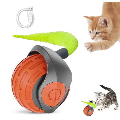 Speedy Tail Katzenspielzeug, Interaktives Katzenballspielzeug, 2 Geschwindigkeiten Smart Interactive Pet Toy Ball, USB Wiederaufladbar 360° Automatisch Bewegliche Katzenbälle für gelangweilte Indoor Speedy Tail Katzenspielzeug, Interaktives Katzenballspielzeug, 2 Geschwindigkeiten Smart Interactive Pet Toy Ball, USB Wiederaufladbar 360° Automatisch Bewegliche Katzenbälle für gelangweilte Indoor von COMBLU