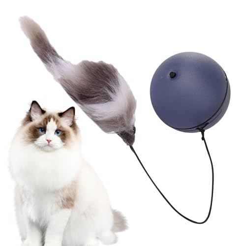 COMFOLIVING Interaktiver Katzenball, automatisches Rolling Katzenspielzeug, batteriebetrieben, mit langem Seil, Katzenspielzeug für Indoor-Katzen, intelligentes Ballspielzeug für automatische COMFOLIVING Interaktiver Katzenball, automatisches Rolling Katzenspielzeug, batteriebetrieben, mit langem Seil, Katzenspielzeug für Indoor-Katzen, intelligentes Ballspielzeug für automatische von COMFOLIVING