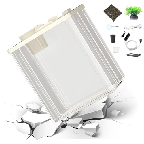 Kleines Aquarium - Aquariumfilter | Aquarium mit Luftpumpe und Atmosphärenlicht | Desktop-Aquarium | Aquarium-Aquarium mit künstlichen Blumen | Modernes kompaktes Aquarium mit künstlichem FL Kleines Aquarium - Aquariumfilter | Aquarium mit Luftpumpe und Atmosphärenlicht | Desktop-Aquarium | Aquarium-Aquarium mit künstlichen Blumen | Modernes kompaktes Aquarium mit künstlichem FL von COMFOLIVING