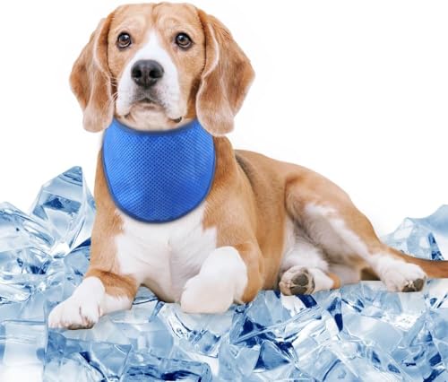 COMFPET Kühlendes Bandana für Hunde, Eiswickel, sofort kühlend, Haustier-Schal für Sommer und heißes Wetter, verstellbar, atmungsaktiv, wiederverwendbar, für den Innen- und Außenbereich, Größe XL von COMFPET