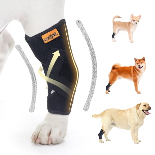 COMFPET Hundehalsbandage für hintere Sprunggelenk, Hund Bein Unterstützung Wrap mit Metall-Streifen, Hinterbein Wrap Protector, Hund Bein Joint Sleeve zu lecken, Hund Verstauchungen zu verhindern (L) COMFPET Hundehalsbandage für hintere Sprunggelenk, Hund Bein Unterstützung Wrap mit Metall-Streifen, Hinterbein Wrap Protector, Hund Bein Joint Sleeve zu lecken, Hund Verstauchungen zu verhindern (L) von COMFPET