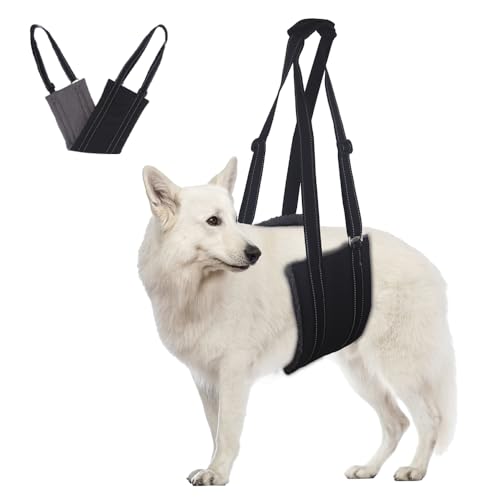 Comfpet Hundegeschirr Hunde Tragehilfe für Auf und Abtreppen, Hundeschlinge, Verstellbares Hundetragegurt für Hinterbeine, Hundehilfe und Bänderrehabilitation, S Comfpet Hundegeschirr Hunde Tragehilfe für Auf und Abtreppen, Hundeschlinge, Verstellbares Hundetragegurt für Hinterbeine, Hundehilfe und Bänderrehabilitation, S von COMFPET