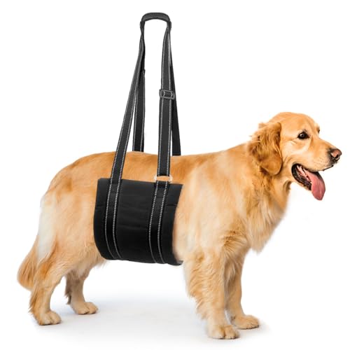 Comfpet Hundegeschirr Hunde Tragehilfe für Auf und Abtreppen, Hundeschlinge, Verstellbares Hundetragegurt für Hinterbeine, Hundehilfe und Bänderrehabilitation, M Comfpet Hundegeschirr Hunde Tragehilfe für Auf und Abtreppen, Hundeschlinge, Verstellbares Hundetragegurt für Hinterbeine, Hundehilfe und Bänderrehabilitation, M von COMFPET