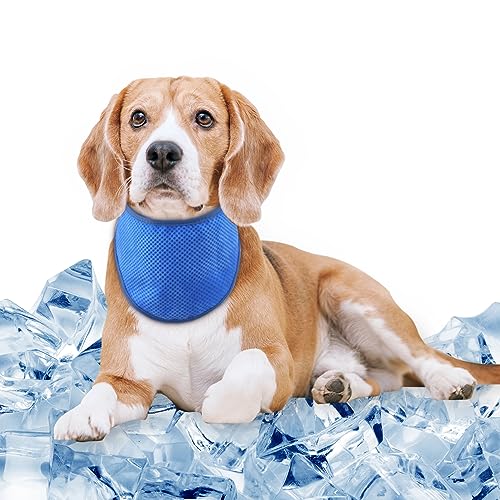 Comfpet Kühlende Hundehalsbänder, Kühlung für Haustiere, Kühlendes Hundetuch, Geeignet für den Sommer Kühlendes Hundehalsband, Blau. M von COMFPET