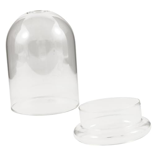 COMNESTBI Glasflasche für Mikrolandschaften Glaskuppel DIY Terrarium für Blumen und Pflanzen Dekorative Vase für Inneneinrichtung für Kreative Wohnkultur und COMNESTBI Glasflasche für Mikrolandschaften Glaskuppel DIY Terrarium für Blumen und Pflanzen Dekorative Vase für Inneneinrichtung für Kreative Wohnkultur und von COMNESTBI
