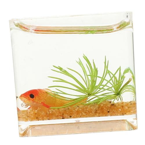 COMNESTBI Herzstück Tischdekoration Kleines Aquarium Mini Ornamente Dekorationen Für Aquarien Kleiner Fischtank Winzige Dinge Küchentisch Mittelstücke Aquarium Mit Fischmodell COMNESTBI Herzstück Tischdekoration Kleines Aquarium Mini Ornamente Dekorationen Für Aquarien Kleiner Fischtank Winzige Dinge Küchentisch Mittelstücke Aquarium Mit Fischmodell von COMNESTBI