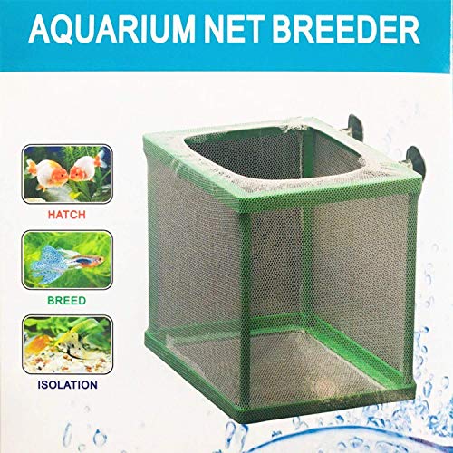 COMOK Fisch Brutkasten Züchter Box Aquarium Trennnetz Nylon Inkubator Mesh Fisch Zucht Tanks Isolation Box Grün Quadrat von COMOK