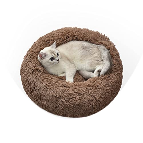 Gavenia Donut Hunde- und Katzenbett, weiches Plüschkissen, langes Plüschkissen, beruhigendes, selbstwärmendes Bett für Katzen und Hunde, kleine, mittelgroße Hunde (Kaffee) von Gavenia