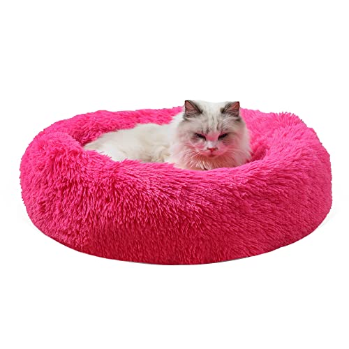 Gavenia Katzenbetten für Katzen im Innenbereich, waschbar, Donut-Katzen- und Hundebett, weiches Plüschkissen, beruhigendes und selbstwärmendes Bett für Schlafverbesserung, Rosenrot von Gavenia