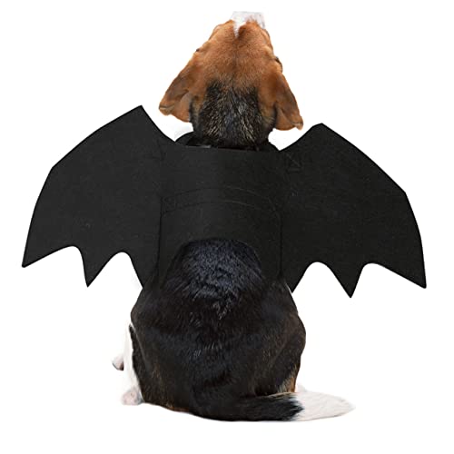 COMPUKAS Fledermausflügel Katzen Halloween -Kostüme Halloween-Haustierflügel Flügel der Katzenfledermaus Stichworte lustig weihnachtsdeko Flügel-Halloween Hundeflügel Black COMPUKAS Fledermausflügel Katzen Halloween -Kostüme Halloween-Haustierflügel Flügel der Katzenfledermaus Stichworte lustig weihnachtsdeko Flügel-Halloween Hundeflügel Black von COMPUKAS