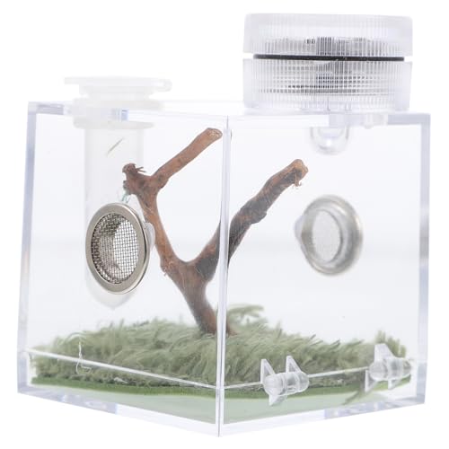 COMPUKAS Hochtransparente Spinnen Habitatbox mit Lampe für Haltung und Transport von Spinnen Käfern und Kleinen Reptilien Mini Lampe und Futteröffnung COMPUKAS Hochtransparente Spinnen Habitatbox mit Lampe für Haltung und Transport von Spinnen Käfern und Kleinen Reptilien Mini Lampe und Futteröffnung von COMPUKAS