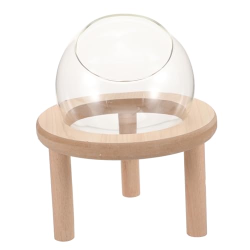 COMPUKAS Transparente Hamster Sandbad Box aus Glas mit Holzunterseite Kleines Haustier Sandbad für Tägliche Nutzung Einfach zu Reinigen Multifunktional als Badewanne und Toilette Geeignet COMPUKAS Transparente Hamster Sandbad Box aus Glas mit Holzunterseite Kleines Haustier Sandbad für Tägliche Nutzung Einfach zu Reinigen Multifunktional als Badewanne und Toilette Geeignet von COMPUKAS