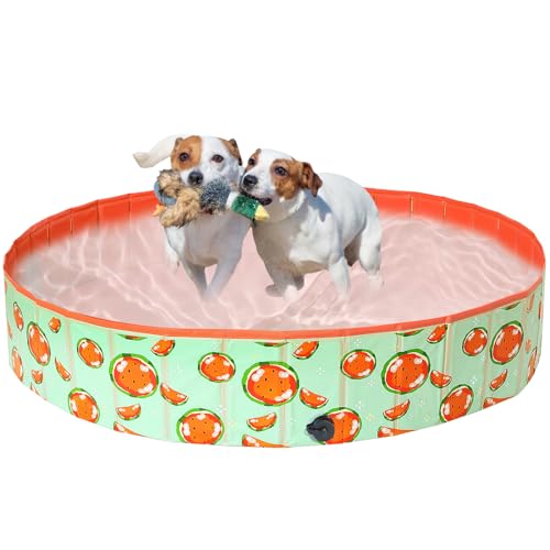 COMSLE Hunde-Planschbecken aus Hartplastik für Hunde, Faltbarer Hunde-Pool, extra groß mit verbessertem PP-Board, Welpen-Badepool für Garten, Terrasse, Badezimmer (160 x 30 cm) von COMSLE