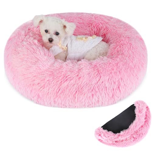 COMSLE Hundebett mit abnehmbarem Bezug, waschbares Anti-Angst-Hunde-Katzenbett für kleine bis mittelgroße Hunde COMSLE Hundebett mit abnehmbarem Bezug, waschbares Anti-Angst-Hunde-Katzenbett für kleine bis mittelgroße Hunde von COMSLE