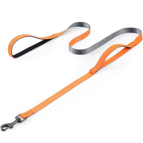 COMSLE Lange Leinen für Hundetraining, 1,5 m/3 m/5 m, starke, extra lange Hundeleine mit Griff, leichtes Nylon, Welpen-Trainingsleine, Hundeleine für Haustierrückruf, Gehorsamkeit, Camping, Spielen im COMSLE Lange Leinen für Hundetraining, 1,5 m/3 m/5 m, starke, extra lange Hundeleine mit Griff, leichtes Nylon, Welpen-Trainingsleine, Hundeleine für Haustierrückruf, Gehorsamkeit, Camping, Spielen im von COMSLE