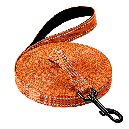 COMSLE Lange Leinen für Hundetraining, 3 m/5 m/10 m/15 m/20 m, starke, extra lange Leine mit Griff, leichte Nylon-Welpen-Trainingsleine für Haustier-Rückrufverfolgung, Gehorsam, Camping, Spielen, COMSLE Lange Leinen für Hundetraining, 3 m/5 m/10 m/15 m/20 m, starke, extra lange Leine mit Griff, leichte Nylon-Welpen-Trainingsleine für Haustier-Rückrufverfolgung, Gehorsam, Camping, Spielen, von COMSLE