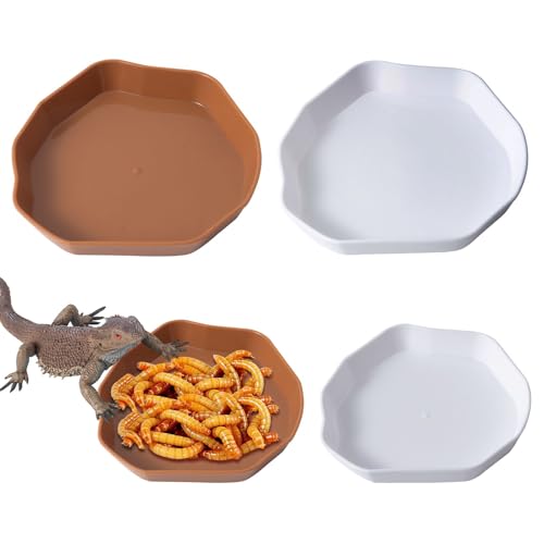 COMSUN Reptilien-Futternapf aus Kunststoff, Wurm-Wasserschale für Eidechse, Gecko, Bartdrache, Chamäleon, Weiß und Braun, 2 Größen, 4 Stück COMSUN Reptilien-Futternapf aus Kunststoff, Wurm-Wasserschale für Eidechse, Gecko, Bartdrache, Chamäleon, Weiß und Braun, 2 Größen, 4 Stück von COMSUN
