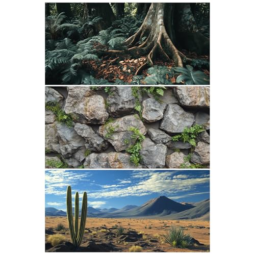 COMSUN Terrarium-Hintergrund, 91,4 x 45,7 cm, Polyester, Reptilien-Hintergrund, Stoff-Terrarium-Hintergrund, tropischer grüner Baumfarn und Gobi-Wüste, Sonnenschein, Kaktus, Felsen, Terrarium, COMSUN Terrarium-Hintergrund, 91,4 x 45,7 cm, Polyester, Reptilien-Hintergrund, Stoff-Terrarium-Hintergrund, tropischer grüner Baumfarn und Gobi-Wüste, Sonnenschein, Kaktus, Felsen, Terrarium, von COMSUN