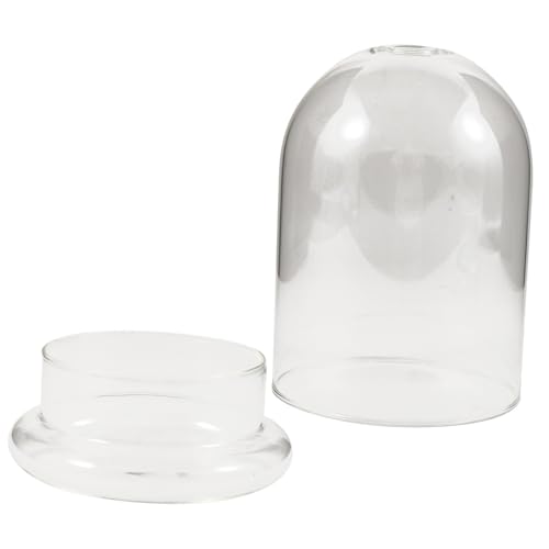 CONGARTENO Micro Landscape Ökoflasche Glasvase mit Großem Klarer Display Dome Leichtes DIY Terrarium Kompakte Pflanzdekoration für Zimmer und Büro von CONGARTENO