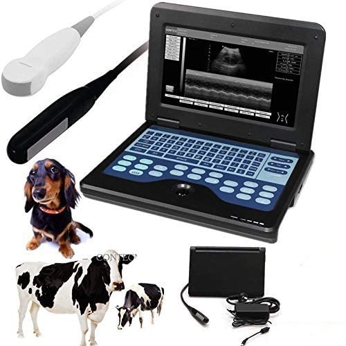 Contec CMS600P2 Tragbarer Laptop B-Ultra Sound Scanner Maschine für Pferde/Equine/Kuh/Schafe von CONTEC