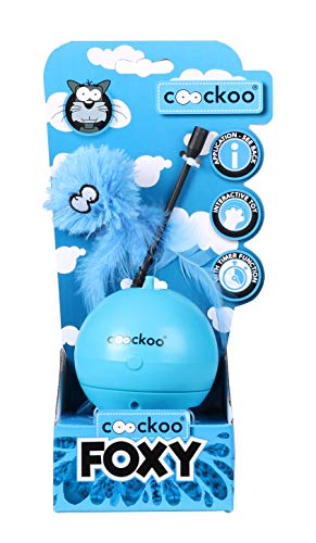 Coockoo Europet, Angelrute, drehbar, Foxy Magic Ball, Blau, interaktives Spielzeug für Katzen, mit Timer, schaltet Sich nach 5 Minuten aus, Batterie Nicht im Lieferumfang von COOCKOO