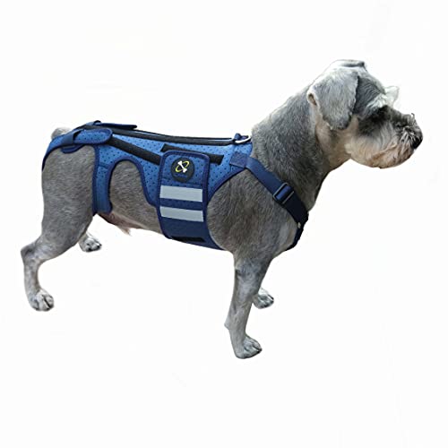 COODEO Hunderückenstütze für Hunde Arthritis, Haustier Rückenstütze für IVDD, Rückenprotektor hilft Schmerzlinderung, chirurgische Erholung und Rehabilitation, Hunde Rückenerkrankungen Prävention (S) von COODEO