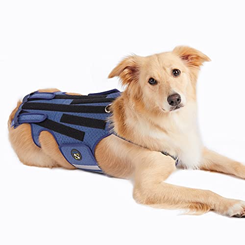 COODEO Hunde-Rückenbandage für Hunde Arthritis, Haustier-Rückenbandage für IVDD, Rückenschutz hilft bei Schmerzlinderung, chirurgischer Genesung und Rehabilitation. (Groß) von COODEO