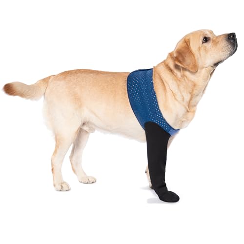 COODEO Hundesocken gegen Pfotenlecken & Schutz bei Verletzungen, mit rutschfesten Sohlen. Wasserdichter Pfotenschutz. (Blau, XL_Left) von COODEO