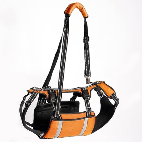 COODEO Mobility Hundegeschirr zum Heben, Notfall-Trageschlaufe, Haustier-Heckbeinstütze, Rehabilitationsweste, Hundetrage für ältere Hunde, Gelenkverletzungen, Arthritis (Orange, L) von COODEO