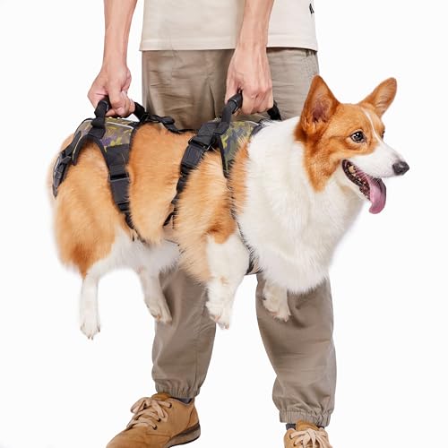Coodeo Hunde-Aufzugsgeschirr, Ganzkörperunterstützung und Erholungsschlinge, Haustier-Hinterbeinstütze, Rehabilitationsweste, Hundetrage für ältere Hunde mit Gelenkverletzungen (XL) von COODEO