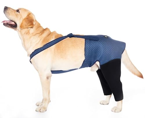 Coodeo Hundegenesungskleidung, abriebfestes Rückenteil für Hundegenesung, waschbar und wasserdicht, verhindert bei Haustierverletzungen, DASS das Tier Sich selbst leckt(M, blau) von COODEO